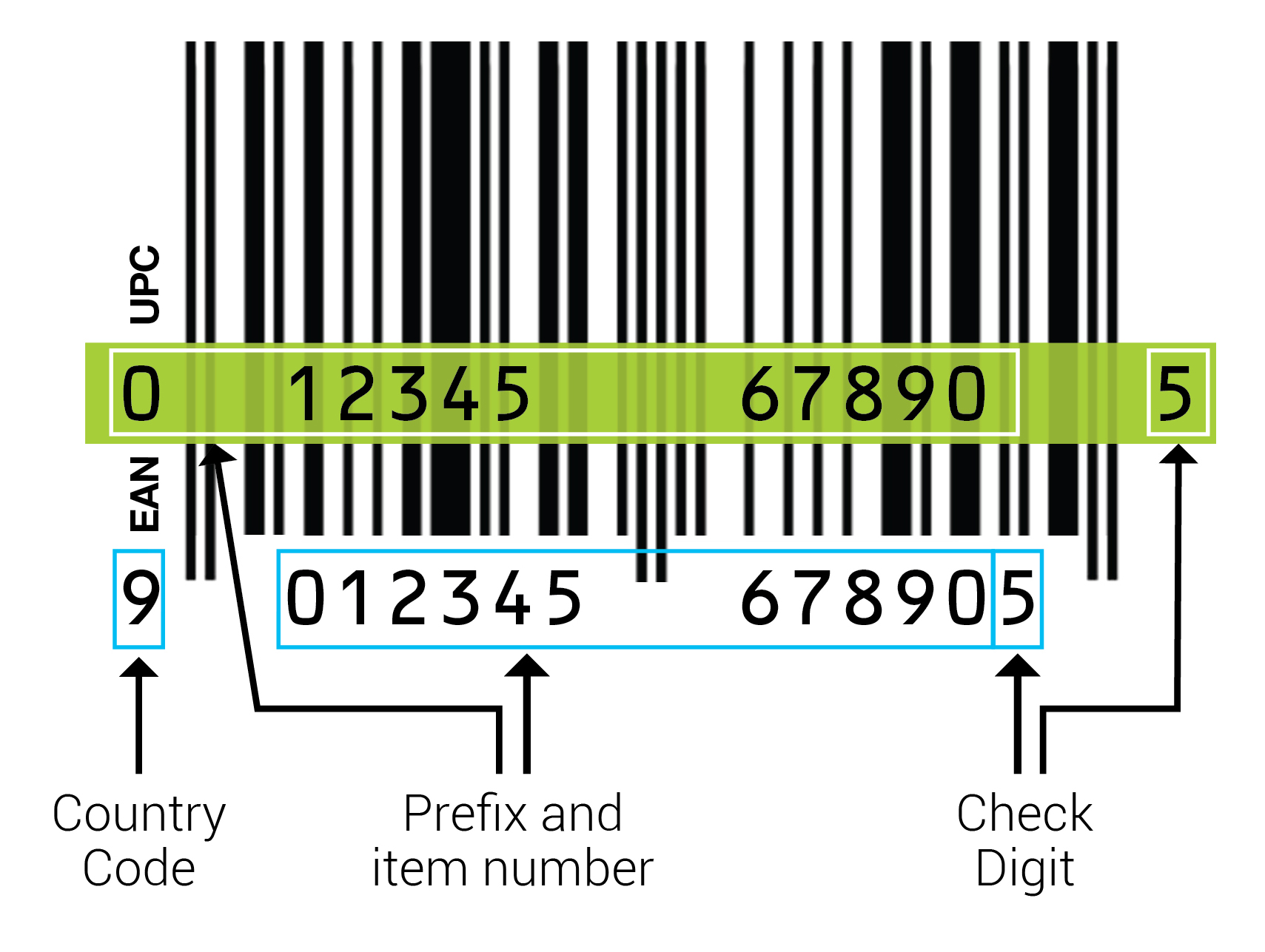 1D and 2D Barcodes Using Ean-13