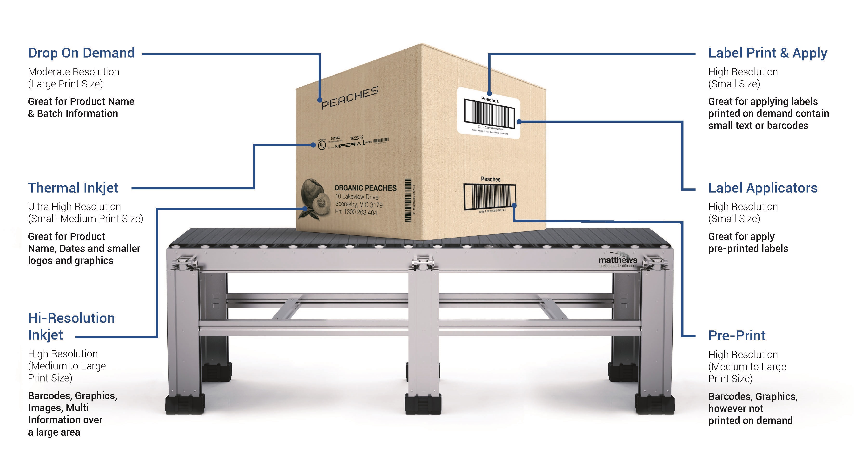 Carton Coding