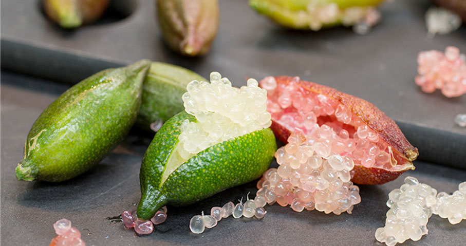 Finger Lime